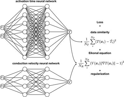 Physics-Informed Neural Networks for Cardiac Activation Mapping